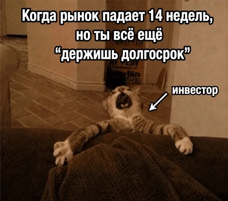 1781612229892.webp