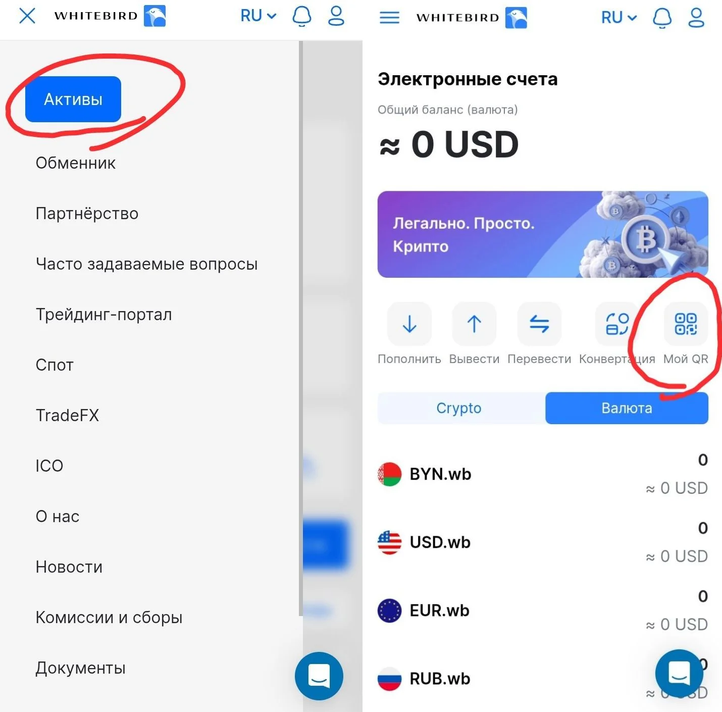 collage1776176600699 (1).webp