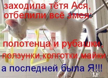 Тетя Ася.webp
