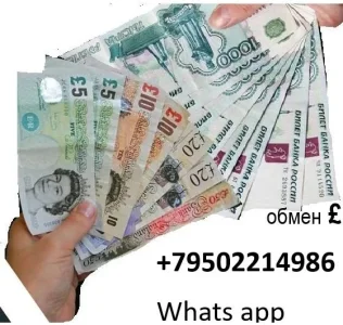 tele.webp