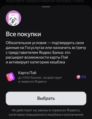 Screenshot_20250729_144101_Yandex Pay.webp