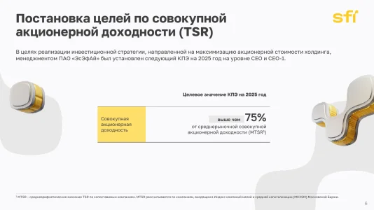 sfi-06.webp