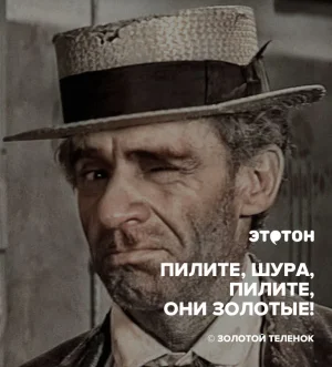 1588763790_citata-pilite-shura-pilite-oni-zolotye.webp