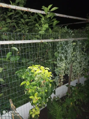 IMG_20260727_221113_781.webp