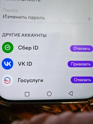 17912986274996360562276190895745.webp